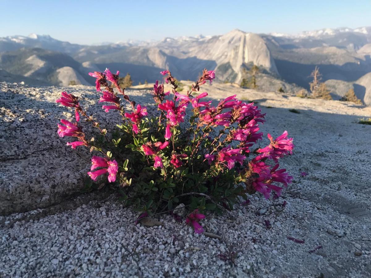 Morning Star Vista Near Yosemite - Countryside With Mountain Views Διαμέρισμα Μαριπόζα Εξωτερικό φωτογραφία